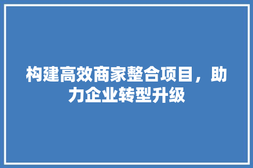 构建高效商家整合项目，助力企业转型升级