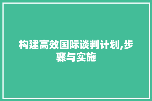 构建高效国际谈判计划,步骤与实施