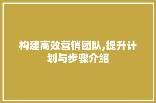 构建高效营销团队,提升计划与步骤介绍