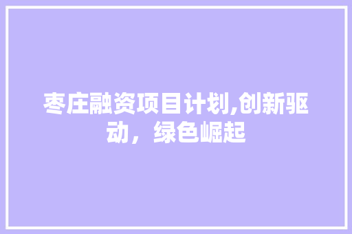 枣庄融资项目计划,创新驱动，绿色崛起