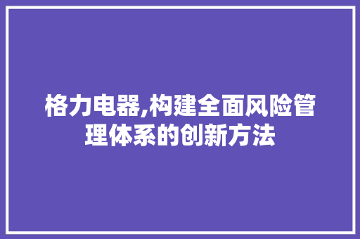 格力电器,构建全面风险管理体系的创新方法