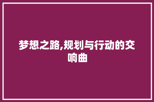 梦想之路,规划与行动的交响曲