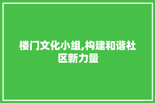 楼门文化小组,构建和谐社区新力量