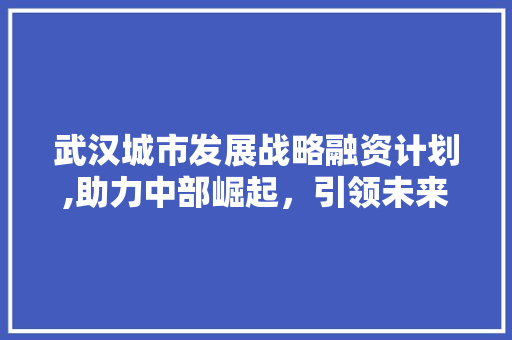 武汉城市发展战略融资计划,助力中部崛起，引领未来