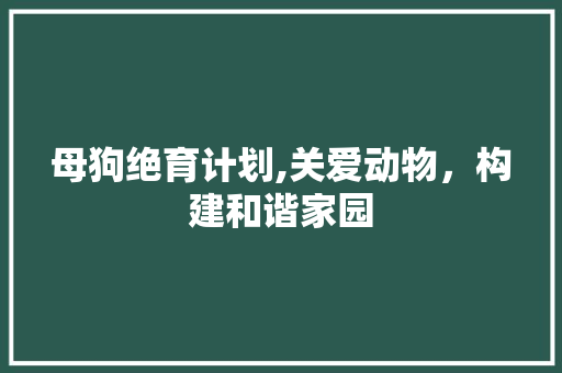 母狗绝育计划,关爱动物，构建和谐家园