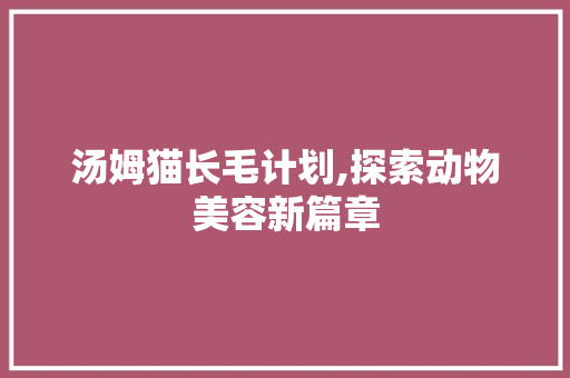 汤姆猫长毛计划,探索动物美容新篇章