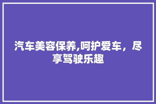 汽车美容保养,呵护爱车，尽享驾驶乐趣