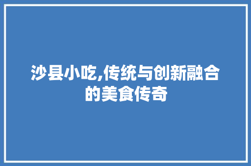 沙县小吃,传统与创新融合的美食传奇