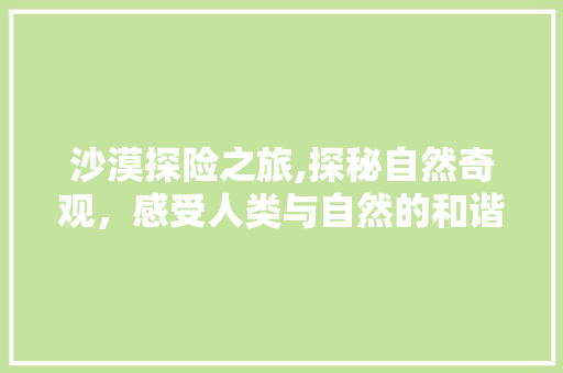 沙漠探险之旅,探秘自然奇观，感受人类与自然的和谐共生