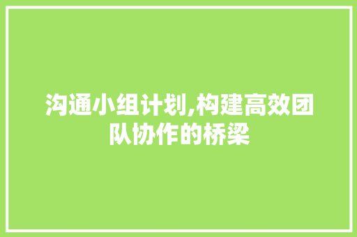 沟通小组计划,构建高效团队协作的桥梁 报告范文