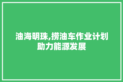 油海明珠,捞油车作业计划助力能源发展