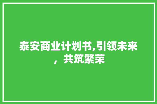 泰安商业计划书,引领未来，共筑繁荣