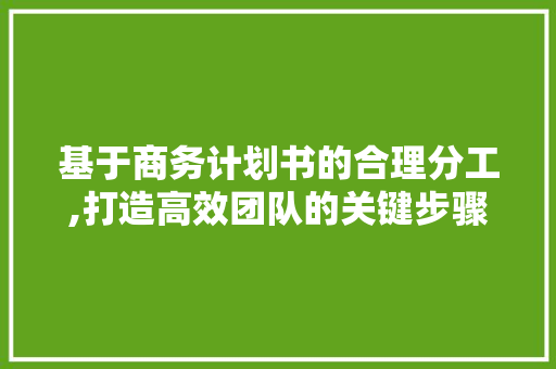 基于商务计划书的合理分工,打造高效团队的关键步骤