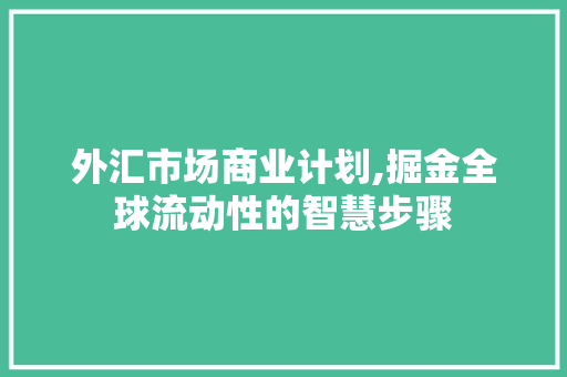 外汇市场商业计划,掘金全球流动性的智慧步骤