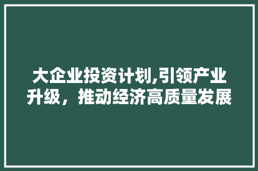 大企业投资计划,引领产业升级，推动经济高质量发展