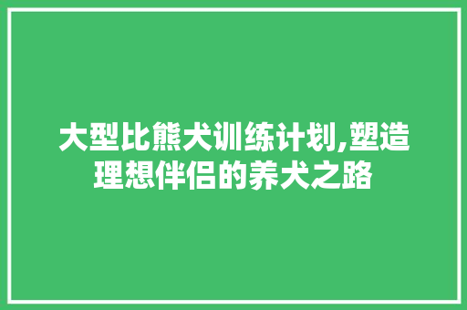 大型比熊犬训练计划,塑造理想伴侣的养犬之路