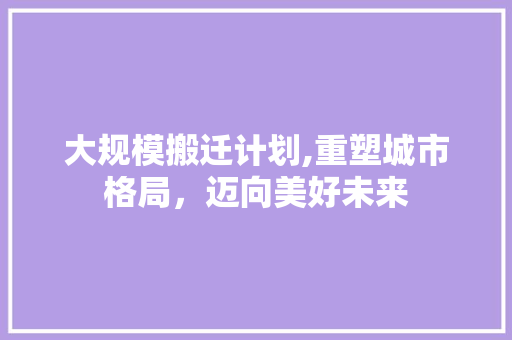 大规模搬迁计划,重塑城市格局，迈向美好未来