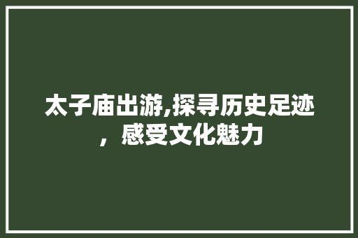 太子庙出游,探寻历史足迹，感受文化魅力