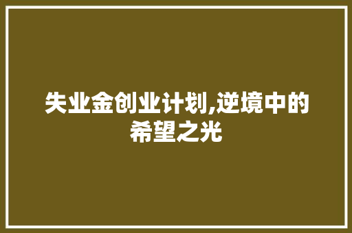 失业金创业计划,逆境中的希望之光