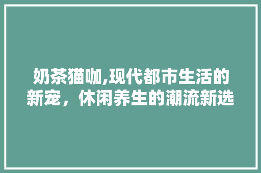 奶茶猫咖,现代都市生活的新宠，休闲养生的潮流新选择