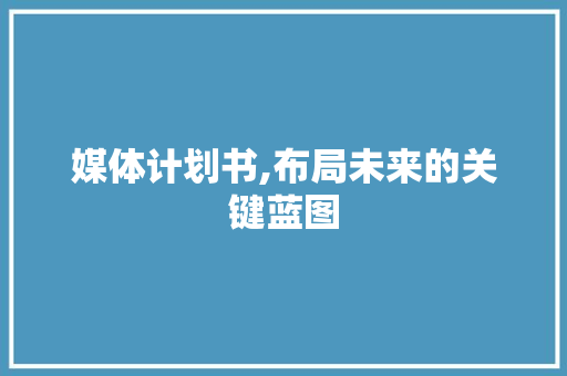 媒体计划书,布局未来的关键蓝图