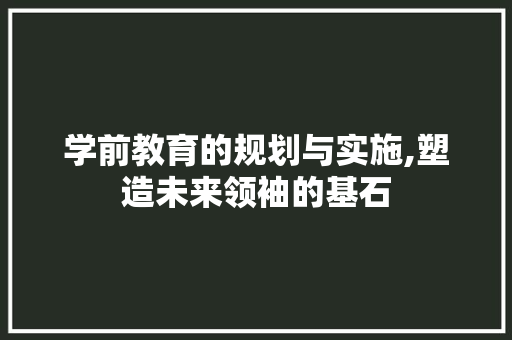 学前教育的规划与实施,塑造未来领袖的基石