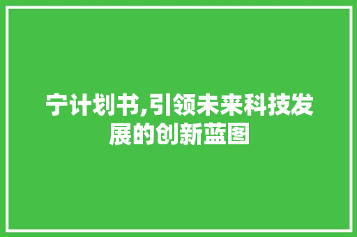 宁计划书,引领未来科技发展的创新蓝图