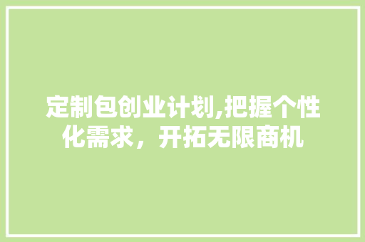 定制包创业计划,把握个性化需求，开拓无限商机