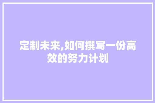 定制未来,如何撰写一份高效的努力计划