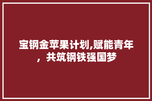 宝钢金苹果计划,赋能青年，共筑钢铁强国梦