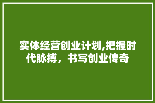 实体经营创业计划,把握时代脉搏，书写创业传奇