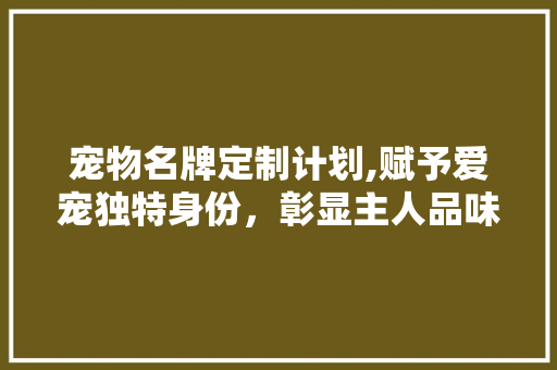 宠物名牌定制计划,赋予爱宠独特身份，彰显主人品味与责任