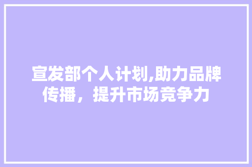 宣发部个人计划,助力品牌传播，提升市场竞争力