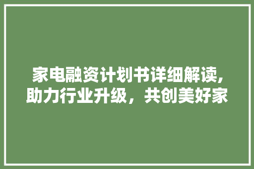 家电融资计划书详细解读,助力行业升级，共创美好家居生活