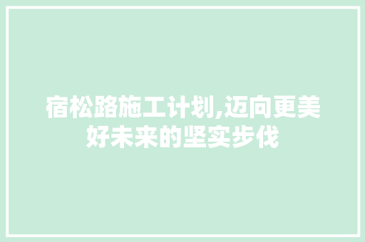 宿松路施工计划,迈向更美好未来的坚实步伐