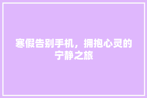 寒假告别手机，拥抱心灵的宁静之旅