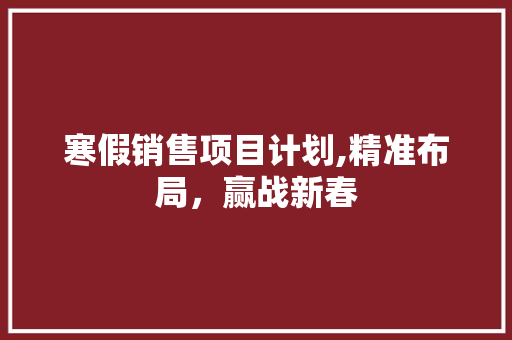 寒假销售项目计划,精准布局，赢战新春