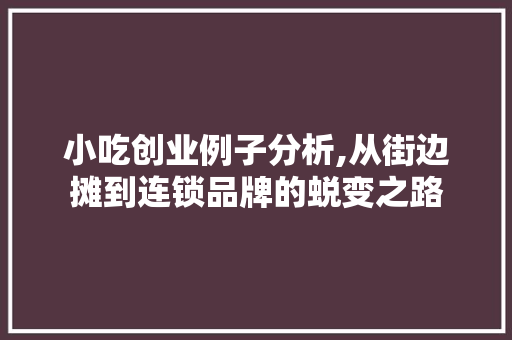 小吃创业例子分析,从街边摊到连锁品牌的蜕变之路