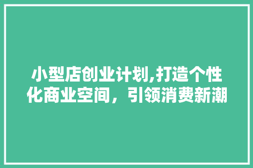 小型店创业计划,打造个性化商业空间，引领消费新潮流