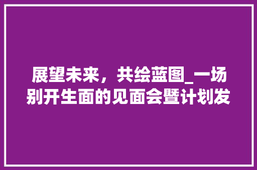 展望未来，共绘蓝图_一场别开生面的见面会暨计划发布会