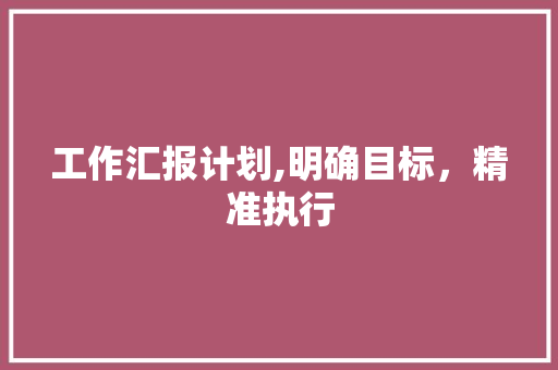 工作汇报计划,明确目标，精准执行