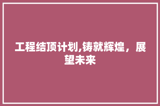 工程结顶计划,铸就辉煌，展望未来