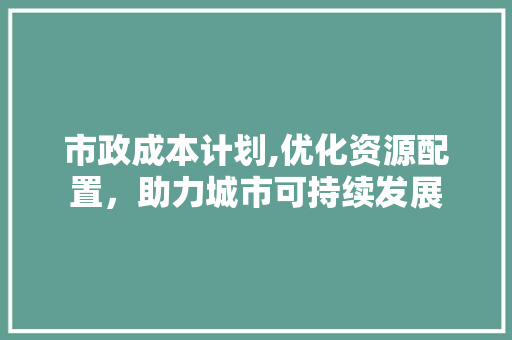 市政成本计划,优化资源配置，助力城市可持续发展