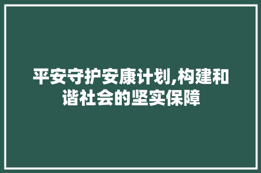 平安守护安康计划,构建和谐社会的坚实保障