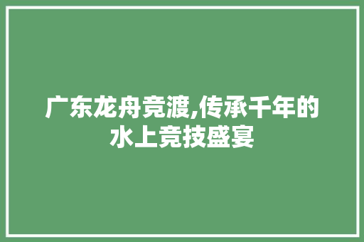 广东龙舟竞渡,传承千年的水上竞技盛宴