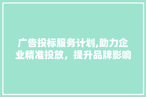 广告投标服务计划,助力企业精准投放，提升品牌影响力