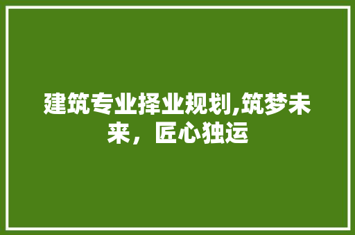 建筑专业择业规划,筑梦未来，匠心独运