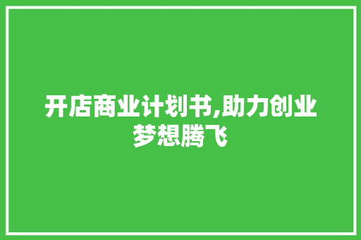 开店商业计划书,助力创业梦想腾飞