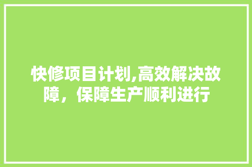 快修项目计划,高效解决故障，保障生产顺利进行