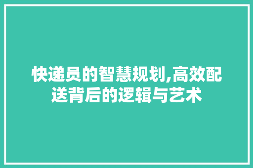 快递员的智慧规划,高效配送背后的逻辑与艺术